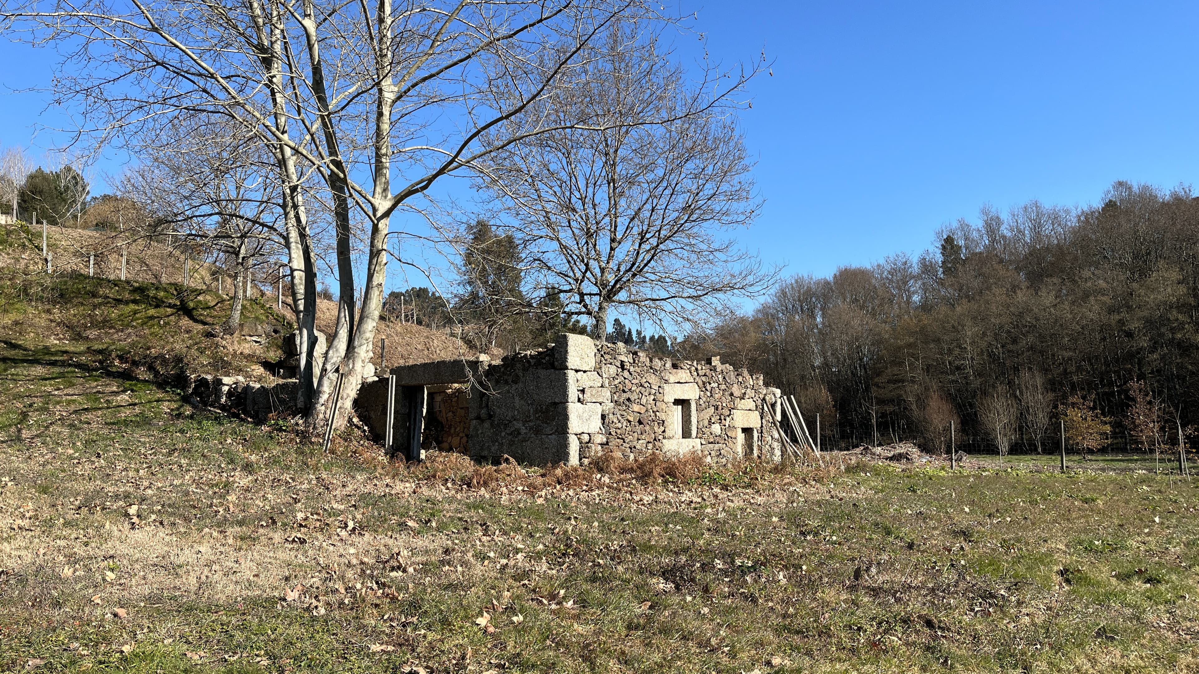 selected-image